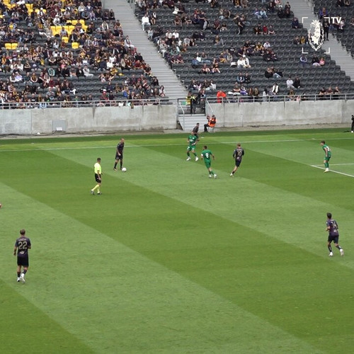 iPaP0X YrL7XKtub.jpg