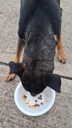 SSebAD5ZSnUKMDs .jpg