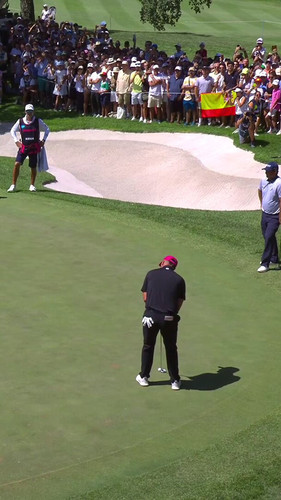 z u3ODDKVOTpq 4Z.jpg