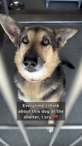 M gpTk4uspfhIV8T.jpg