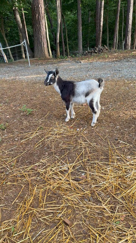 UcQ53gav fNYuYjf.jpg