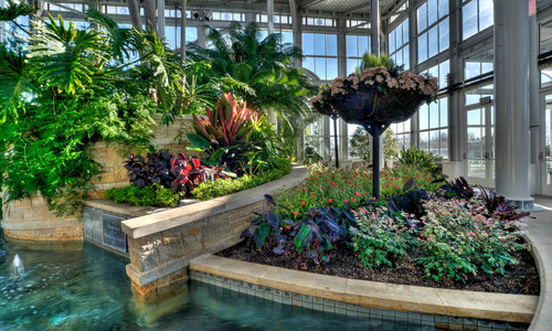 Landscape Design Service Focused on Bespoke Planning.jpg