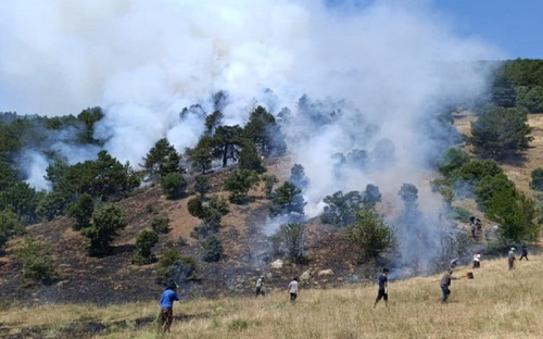 DavgCFThPX20GzFUnvawfdY2Zn0PVv RBupRfvj6Hfczk6r01iYuD f0ILQ 9WjqgrOpY 9zbXsWQDHLmOSyuJNFU6TW09rKmgrt.jpg