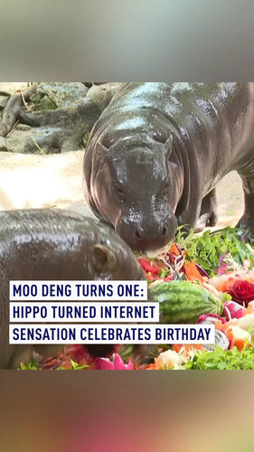 AI Nem95dEggK4os.jpg