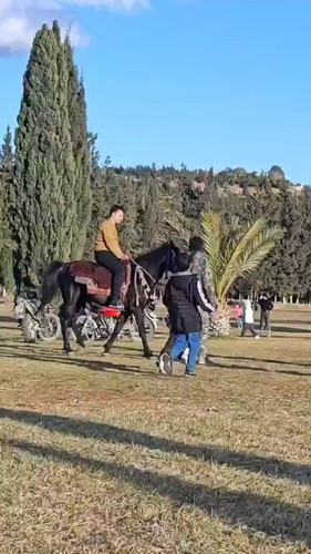 Q khLaQAqH7WzZnI.jpg