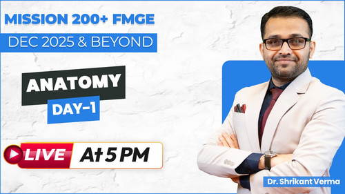 WhatsApp Image 2025 07 12 at 3.36.44 PM.jpg