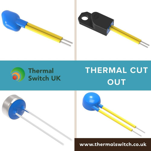 Thermal Cut Out for Precise Overheat Protection Solutions.jpg