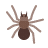 icons8 araña.gif