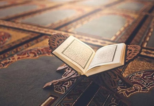 517409266 1067663145499271 4322117480480753451 n.jpg?stp=dst jpg p180x540 tt6& nc cat=107&ccb=1 7& n.jpg