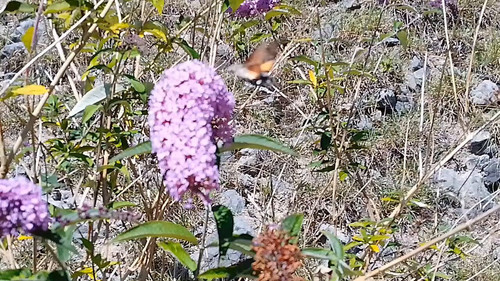 GK3LBybT jBiv0aI.jpg