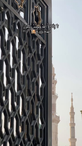 gv4KWv My2t2g7B .jpg