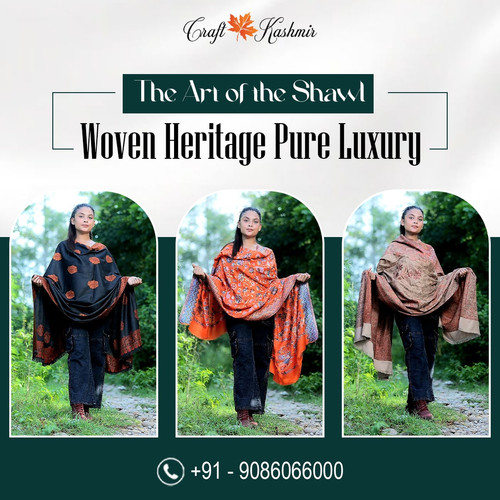Buy Kashmiri Shawl in India.jpg