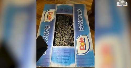 7182782638053327793?url=https%3A%2F%2Ffactor.am%2Fwp content%2Fuploads%2F2025%2F07%2F%25D0%25A1%25D0.jpg