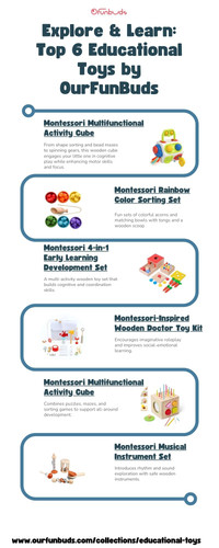 Top 6 Educational Toys by OurFunBuds.jpg