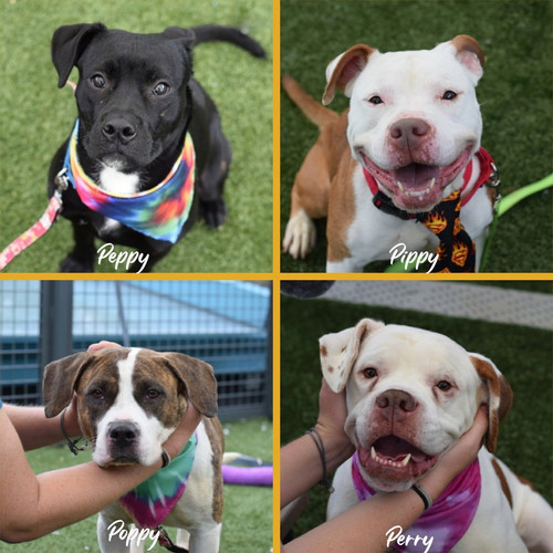 Gr f w0XQAAzNYx?format=jpg.jpg