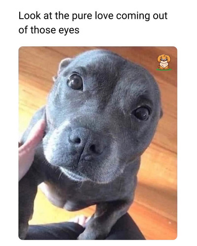 518768481 673173919092777 7820513241146387276 n.jpg