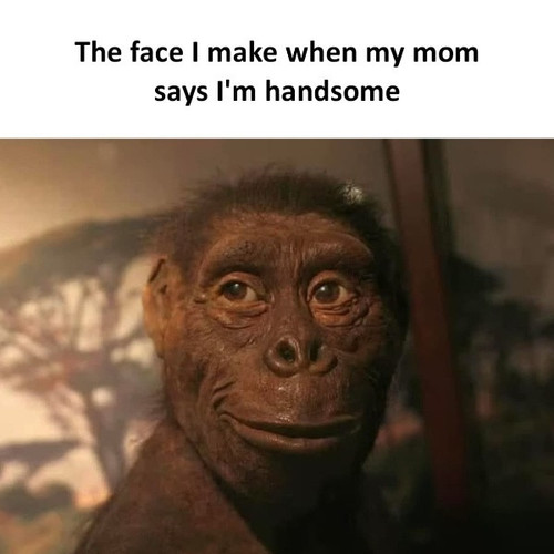 518252056 1257828022474385 6009193165799241421 n (1).jpg