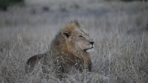 evztWYUG SSM7NYv.jpg