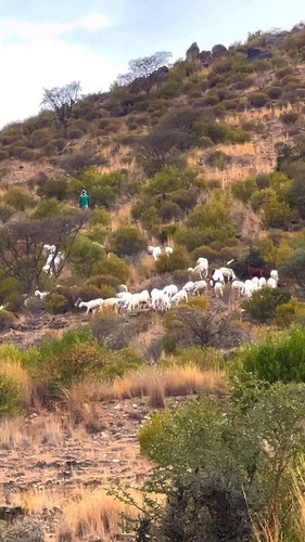 mZlu Hxr2KJszoUQ.jpg