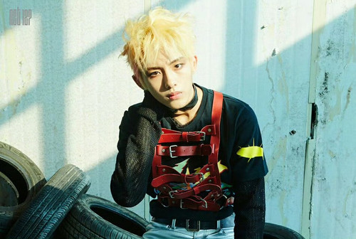 img 1752505946305e4bb2dfb310b903b95e9e86083a492522089a15829d40be8bcf693a378dc0a4a edit 3140398563817.jpg