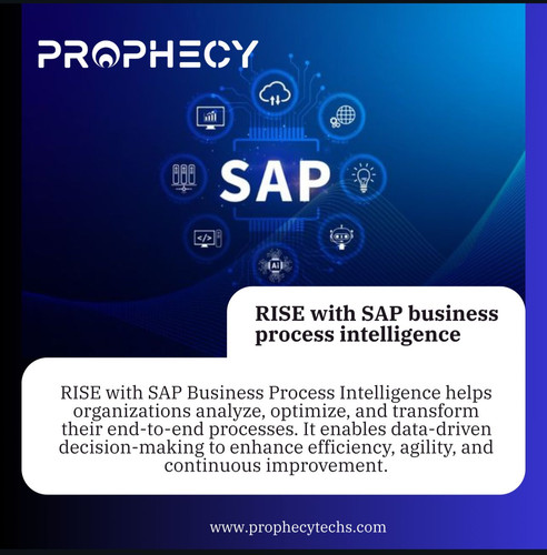 Rise with SAP Business Intelligence.jpg
