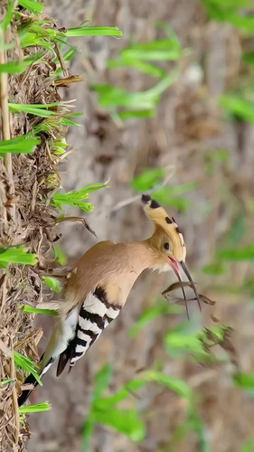 pDXkUnNzG xKQyVO.jpg