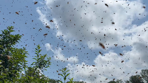 bq uhJ6d4qkpek88.jpg