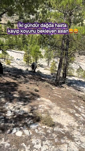 dMEz 1rqhMvjpOm9.jpg