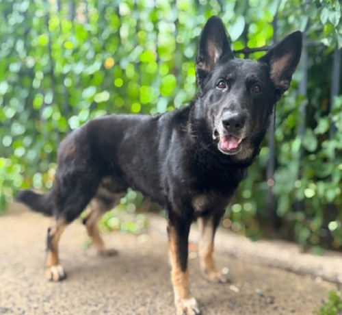 GvanywqWgAAA AZ?format=jpg.jpg