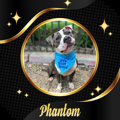 GuLIOJWXsAA RIV?format=jpg.jpg