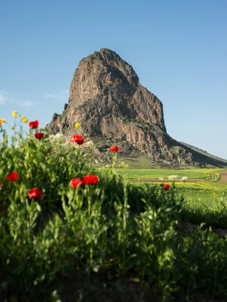 518359367 1339540128177091 3011561363282170602 n.jpg?stp=dst jpg s600x600 tt6& nc cat=101&ccb=1 7& n.jpg