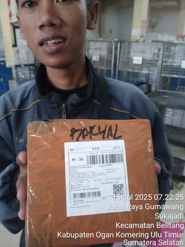 WhatsApp Image 2025 07 15 at 07.26.26.jpg