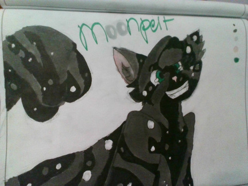 IMG 20201126 193411.jpg