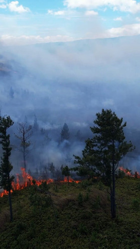 9UGacwJuWR3Os Mz.jpg