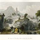 Oil painting Photos 0381