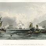 Oil painting Photos 0384