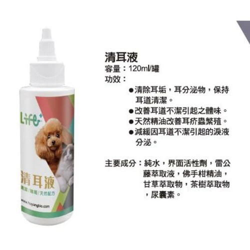 image WH 1200x1200px (7).jpg