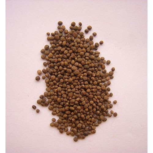 balsam seed.jpg