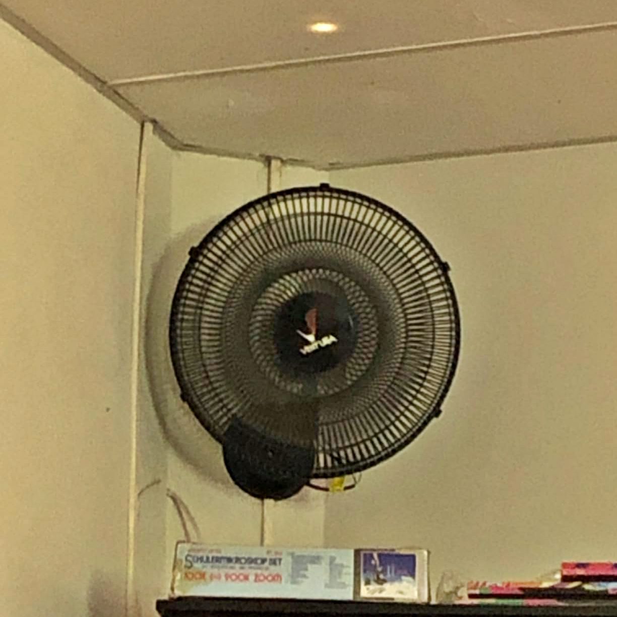 Venti-Delta Ventura Ventilador Oscilante Parede 50cm Grade Plástica Bivolt Preto Venti-Delta Ventura Ventilador Oscilante Parede 50cm Grade Plástica Bivolt Preto