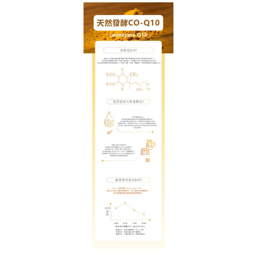 image WH 1200x1200px (37).jpg