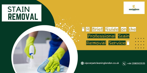 A Brief Guide on the Professional Stain Removal Service.jpg