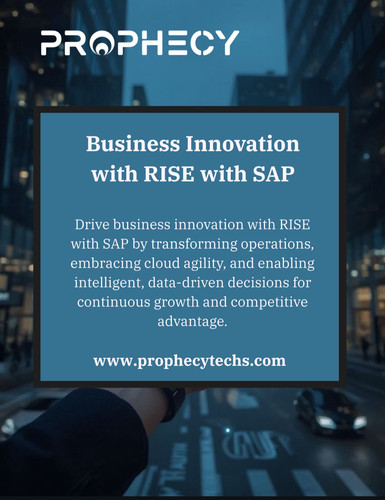 Rise with SAP Business Innovation.jpg