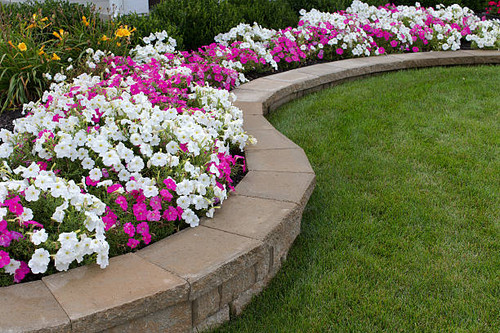 Retaining Walls Landscaping in Marin County - Marion Landscape Construction.jpg