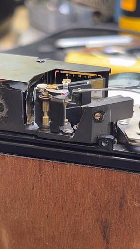 tnphzwf FfIF3y1b.jpg