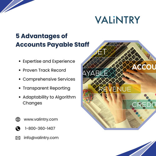 5 Advantages of Accounts Payable Staff.jpg