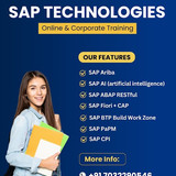 Best SAP BTP Cloud App Programming Course Online 2025