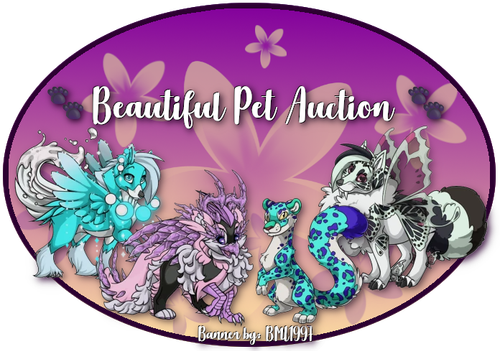 beautiful pet auction.png