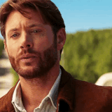 7d483480 2d8b 4f46 895d cc2d74838c79.gif