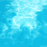1000030463.gif