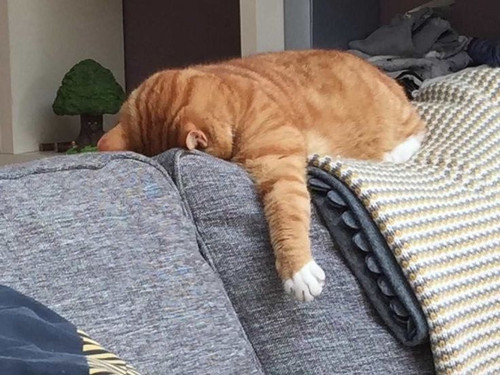 18.jpg